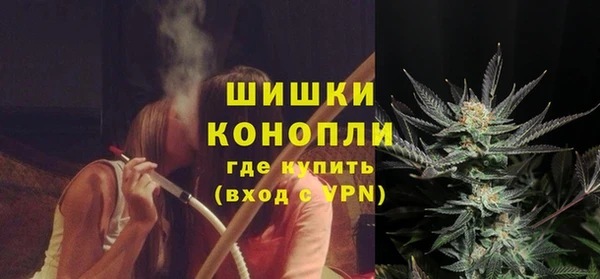дмт Переславль-Залесский