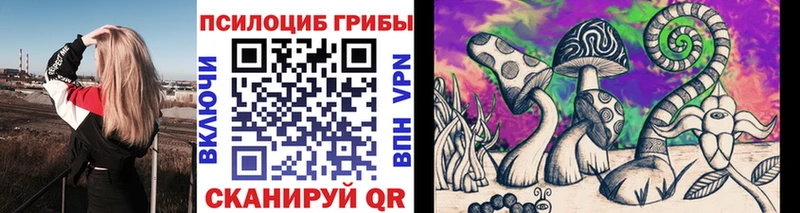где купить наркоту  Верхняя Салда  Псилоцибиновые грибы Psilocybe 