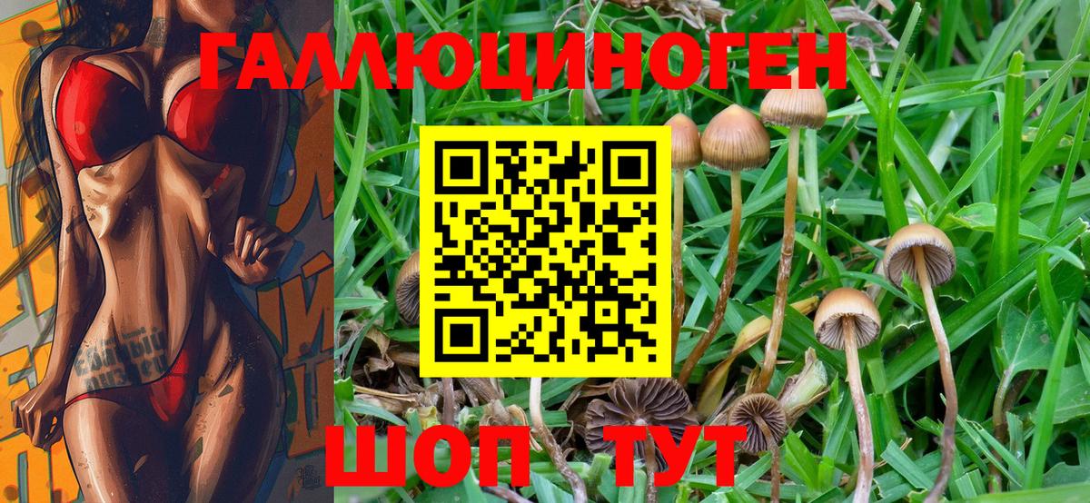купить   Галлюциногенные грибы Psilocybe  Верхняя Салда  Галлюциногенные грибы мухоморы 
