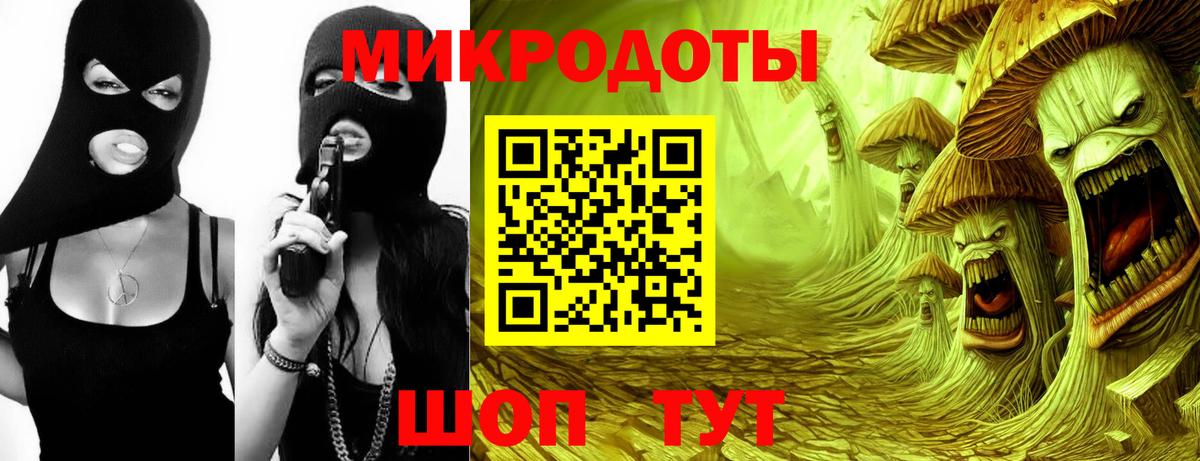 Псилоцибиновые грибы Psilocybe Верхняя Салда